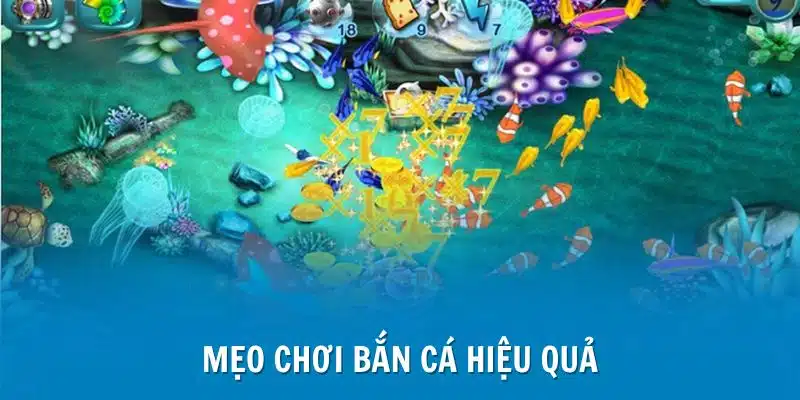 Mẹo chơi bắn cá hiệu quả